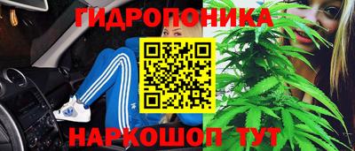 прущие грибы Тара