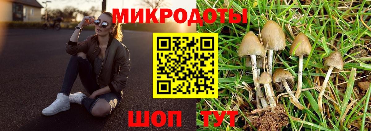 Галлюциногенные грибы Psilocybine cubensis  Галлюциногенные грибы Psilocybe  Новоуральск  Вход с VPN 